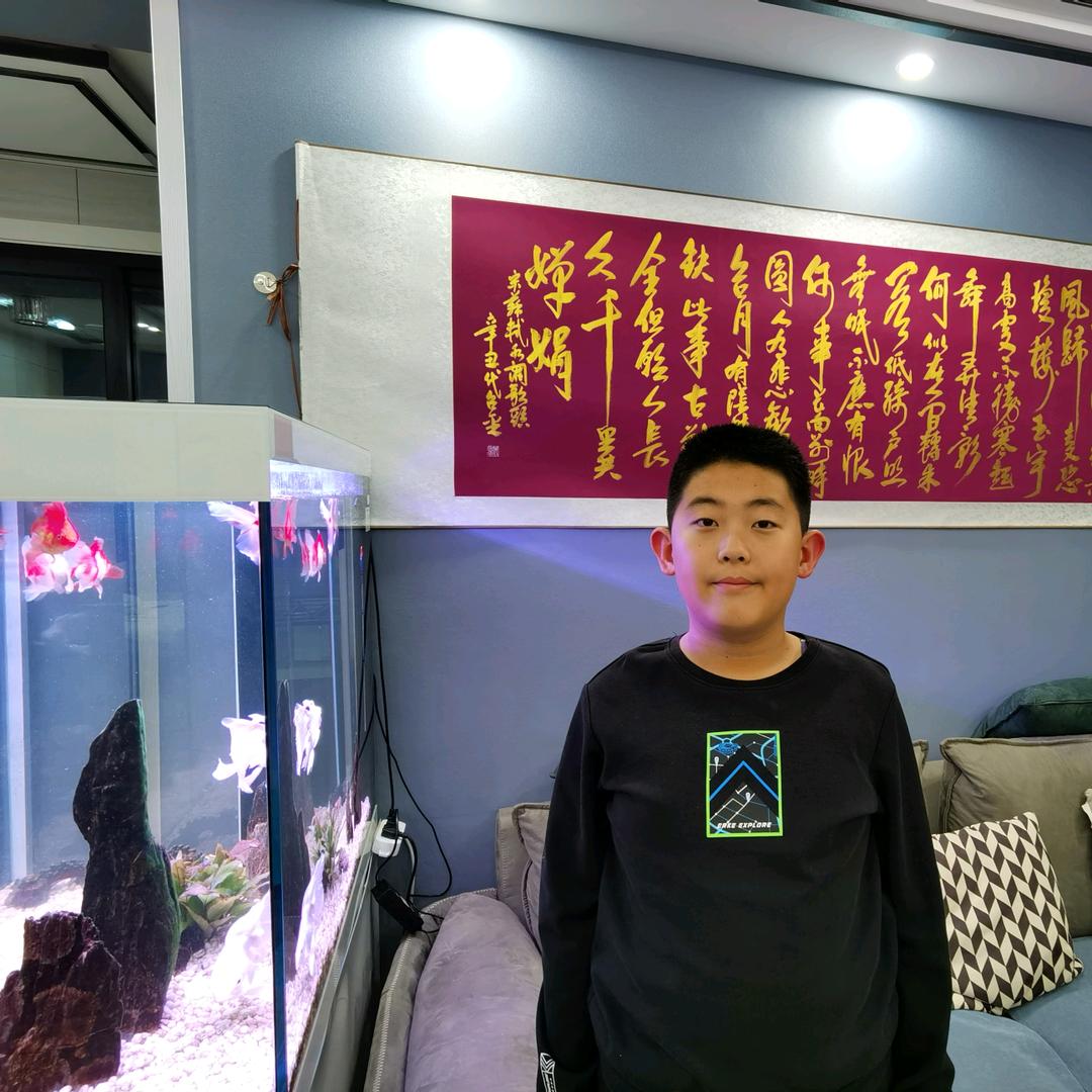 爱历史的小学生