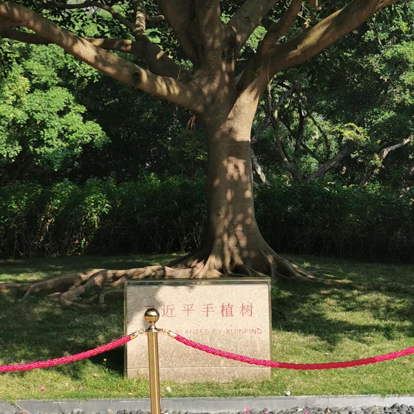 锦福