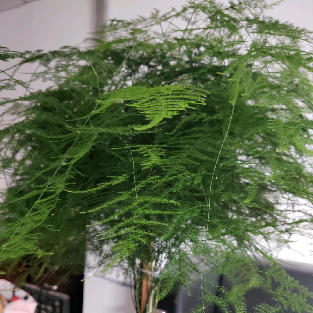 沈不可测