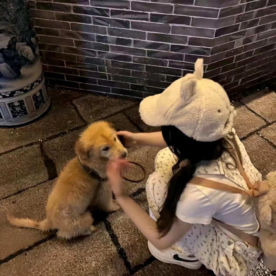 @苏苏