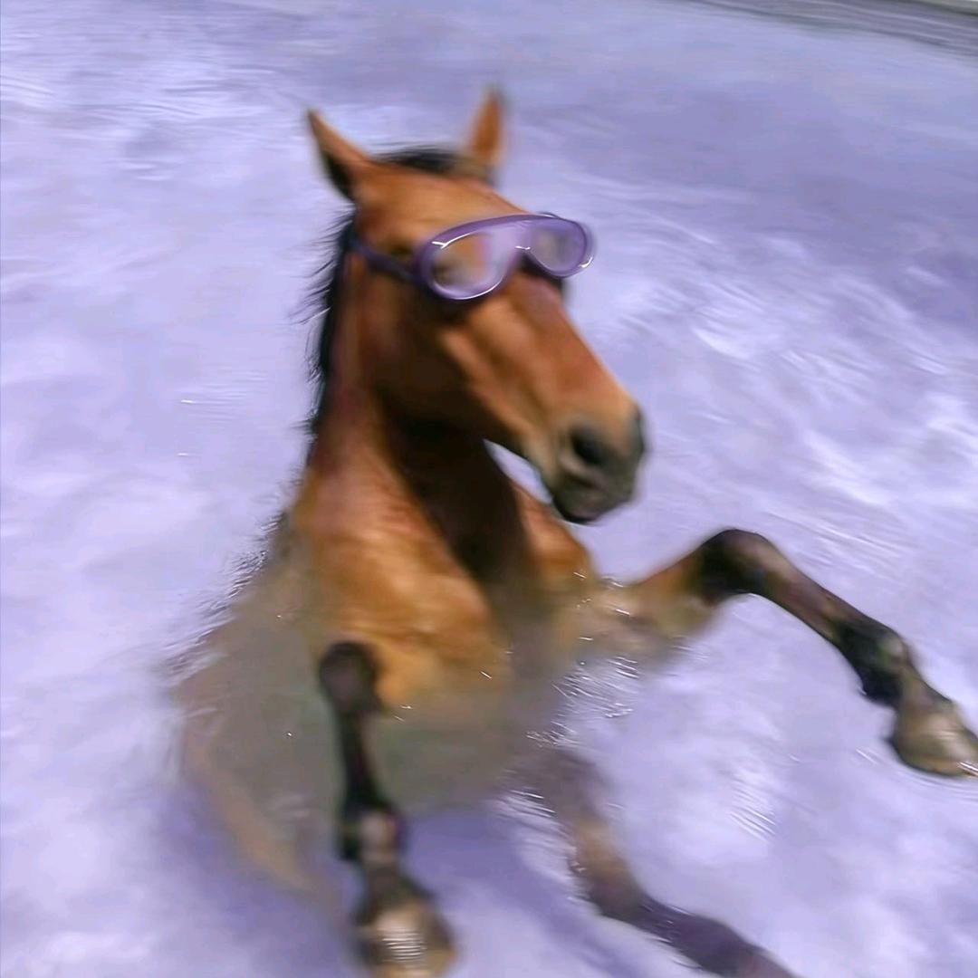 CC66.（见过嘉祺版）