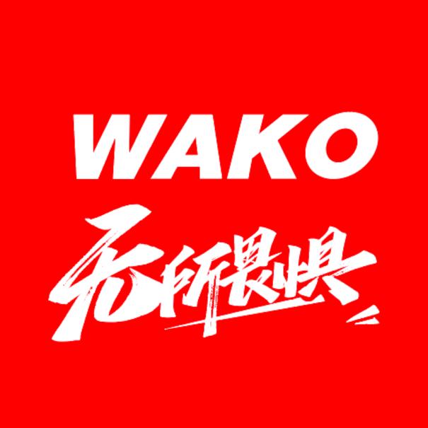 车亮汽车装饰用品店