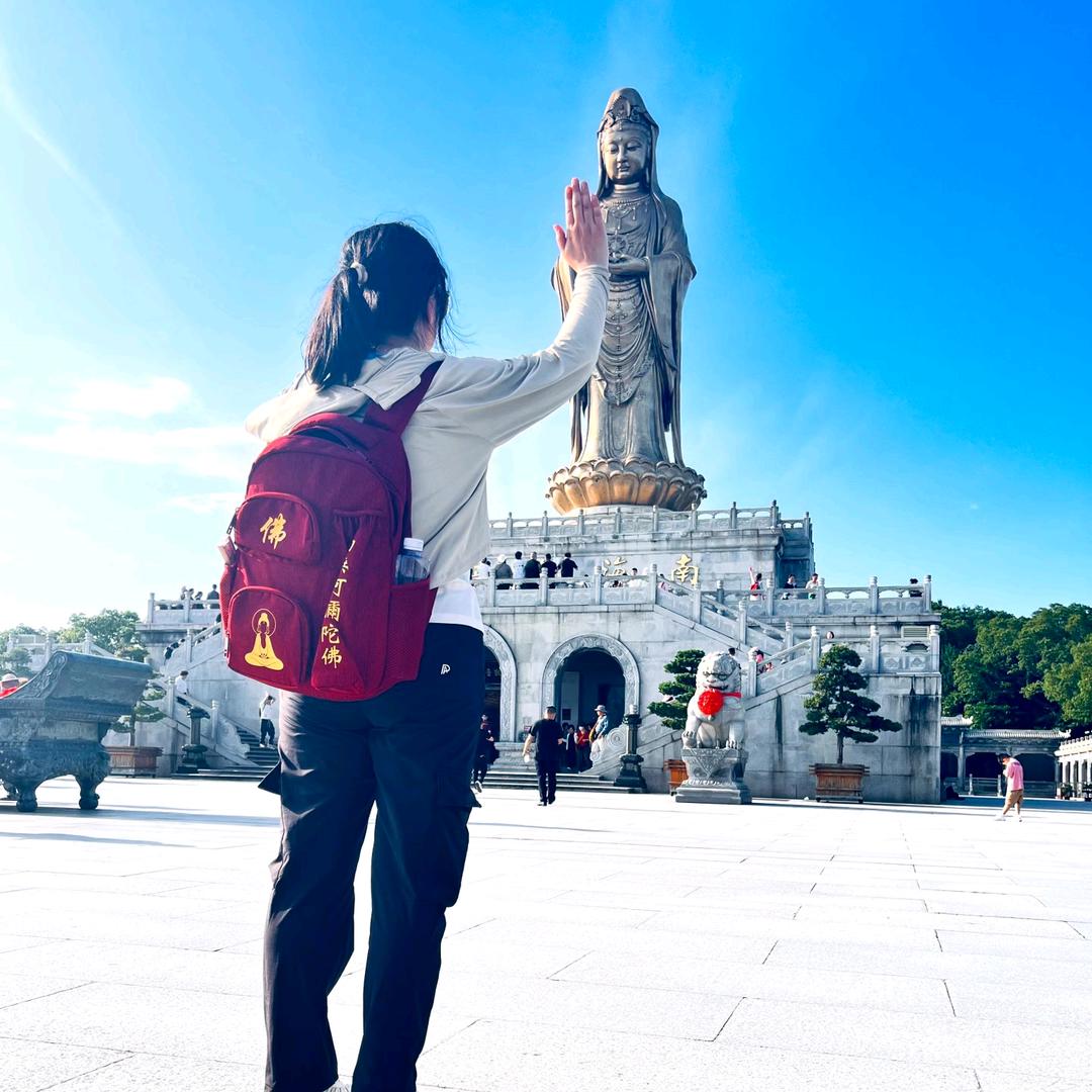 老虎🐯的日常生活