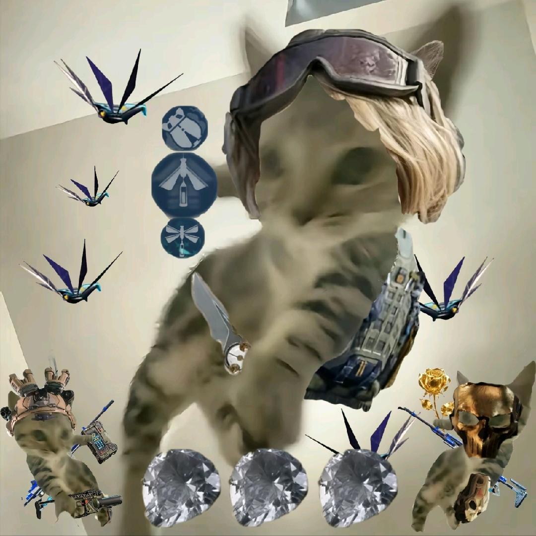 昭昭爸