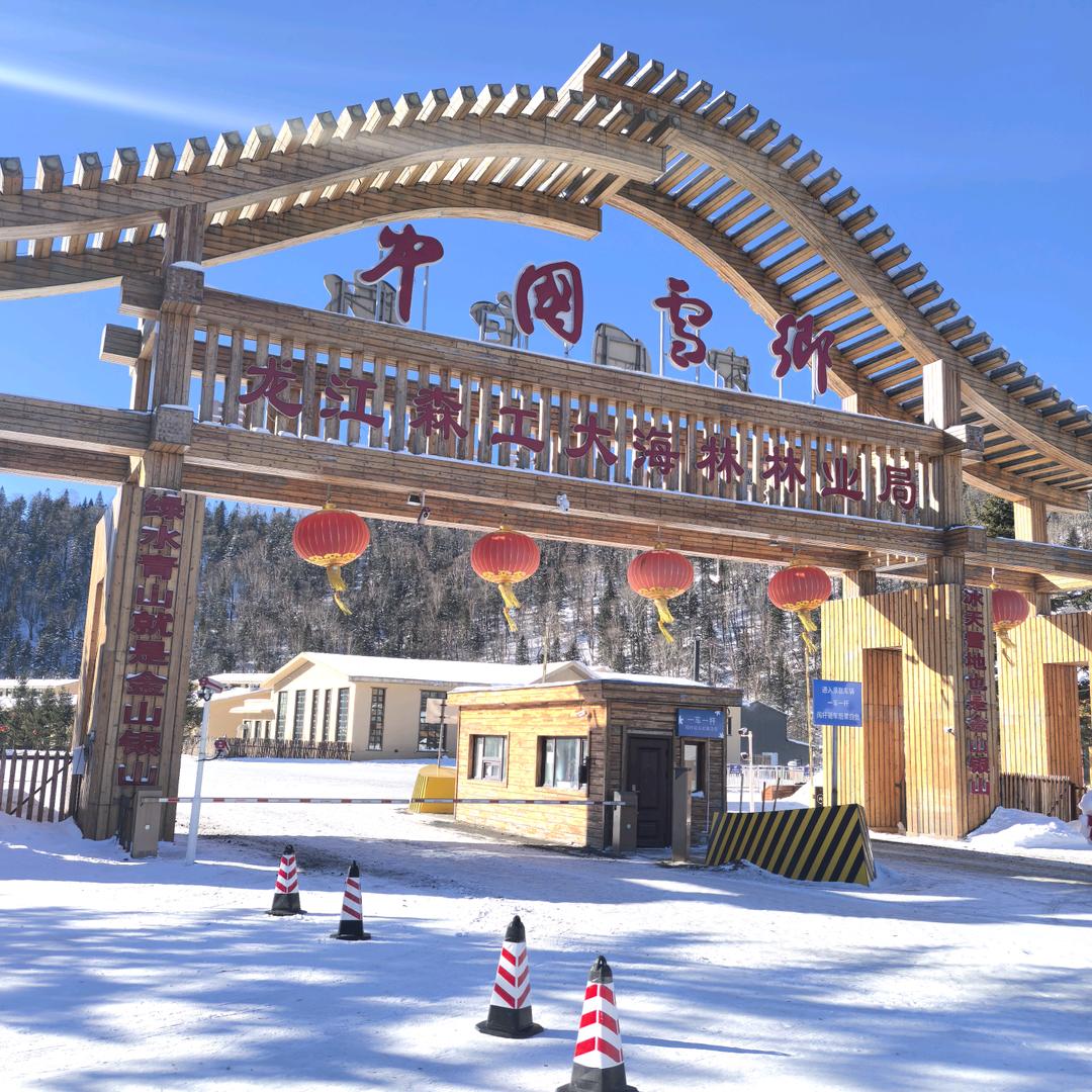 来雪乡看雪