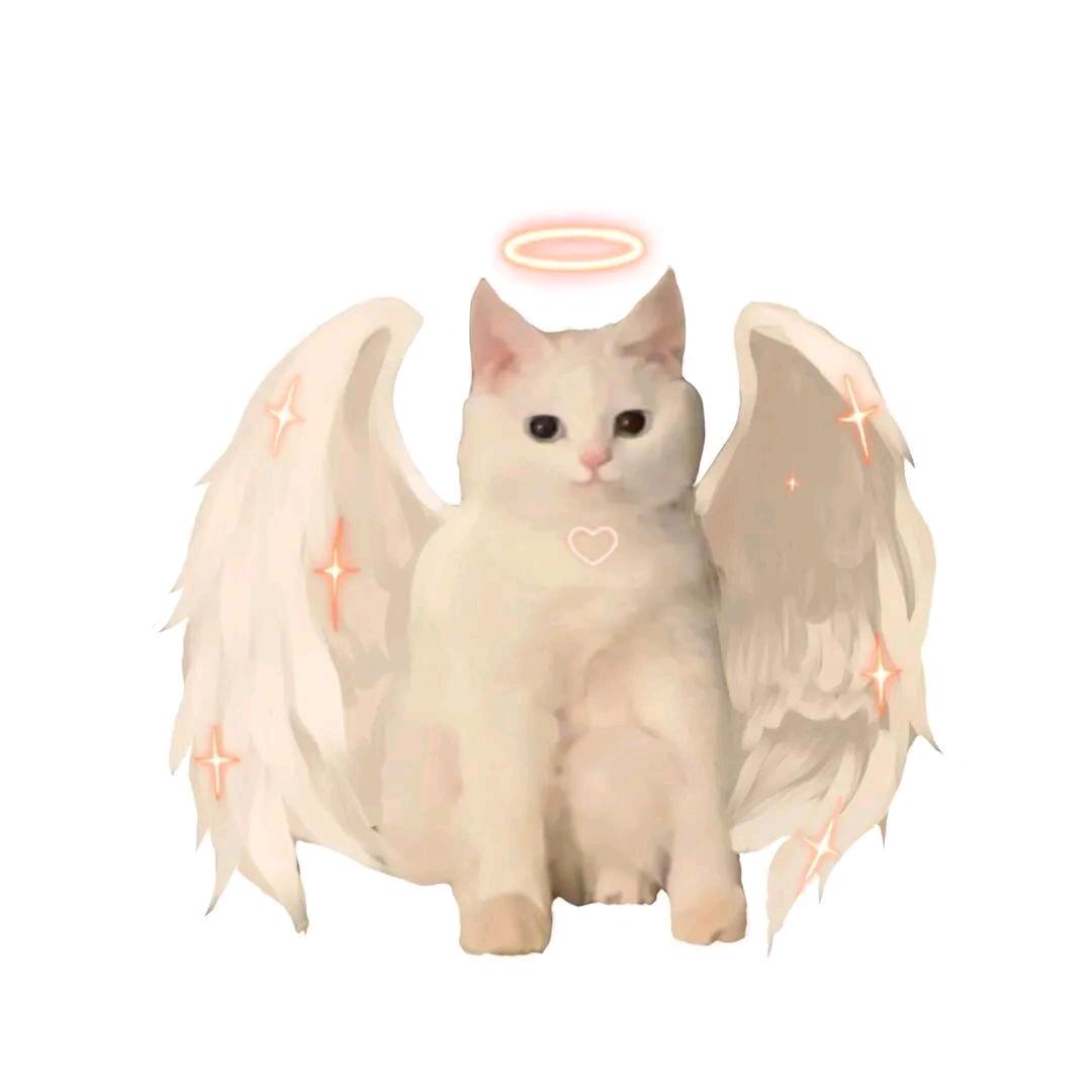蜡笔小布丁
