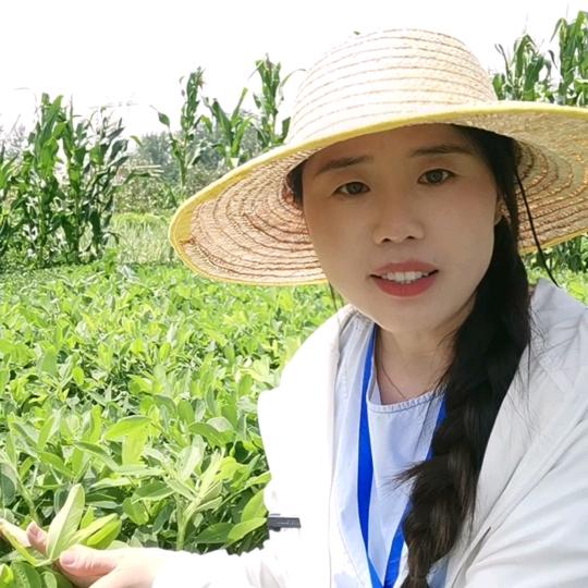 小鱼助农