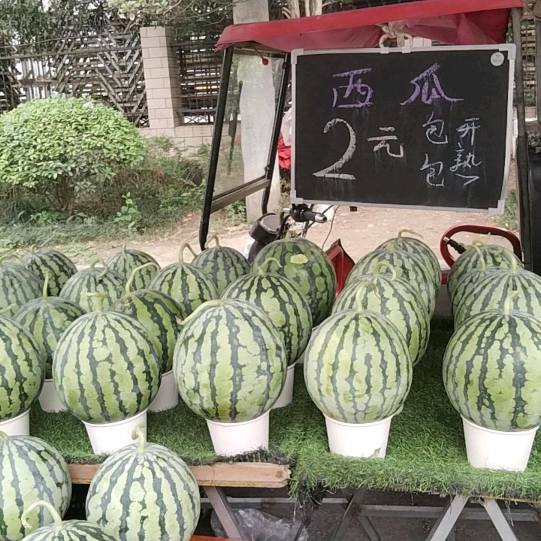 爱钓鱼的人