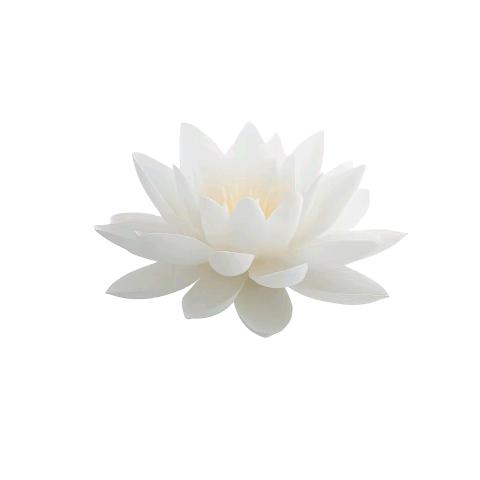 扶老奶奶闯红灯