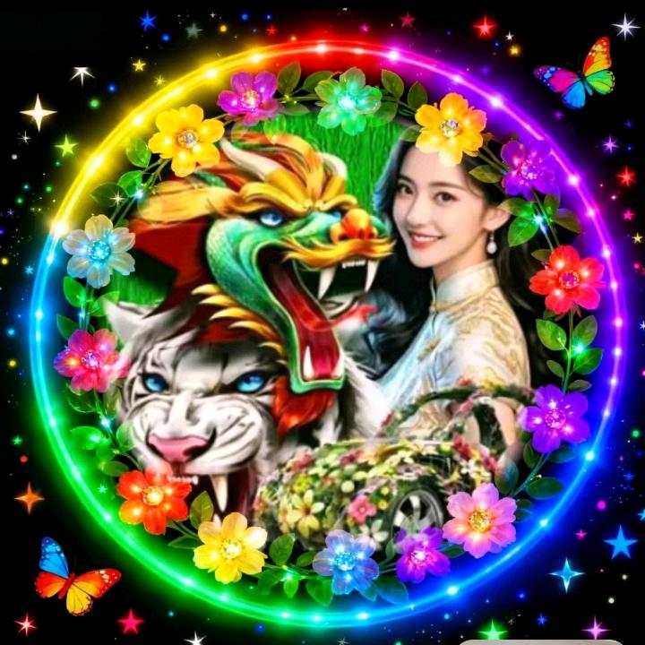 南中南中北單戋不服，直接幹