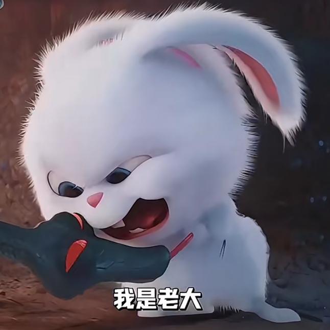 中国蚊子