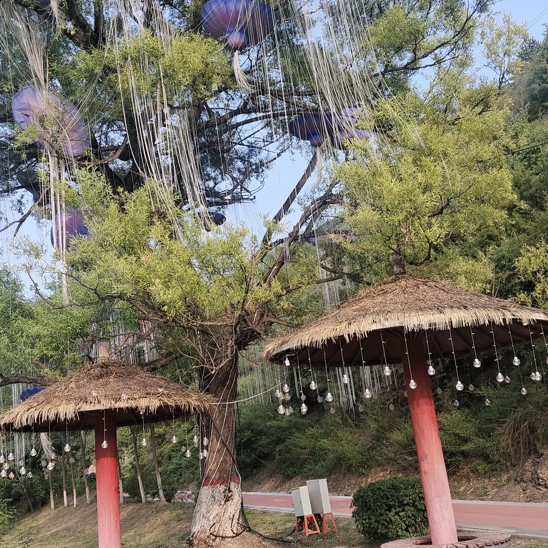 往后余生