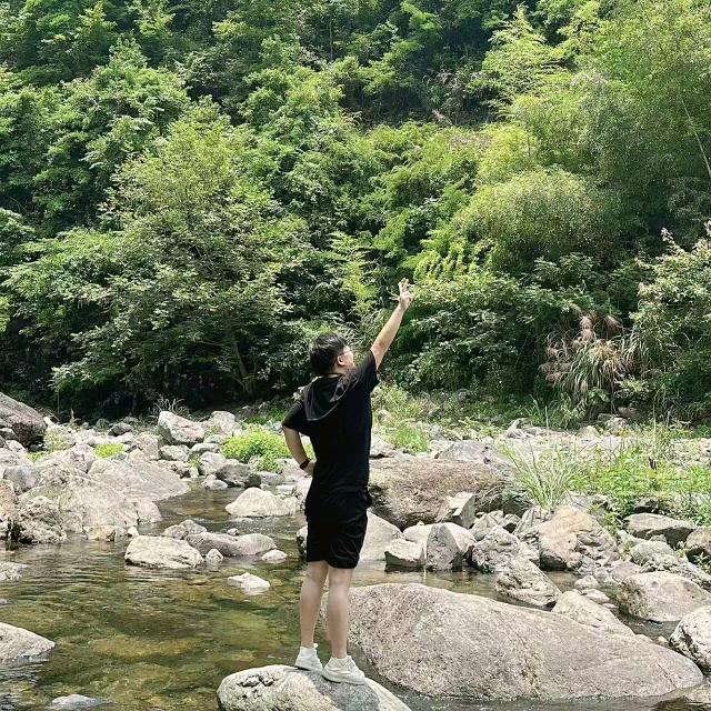 小王在浙里
