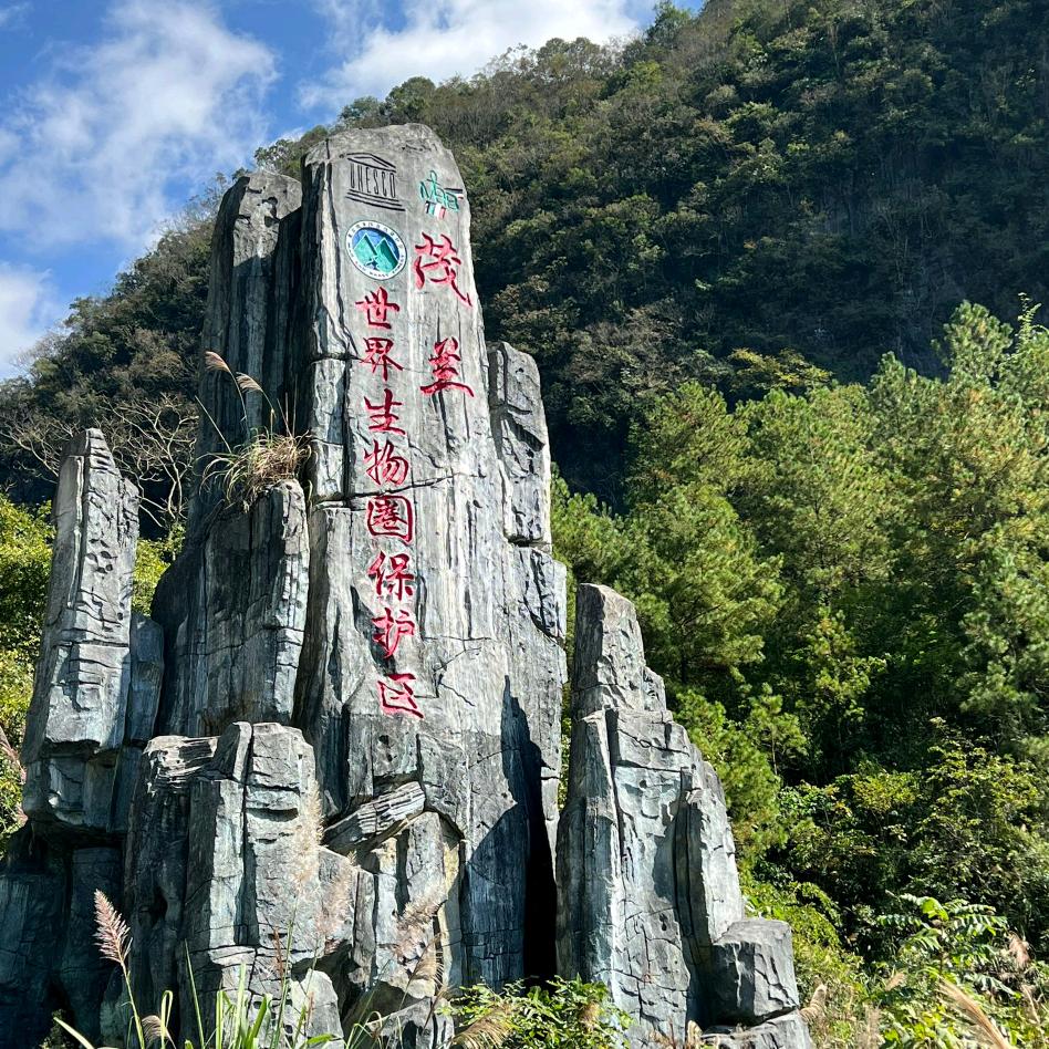 依旧走了这些年