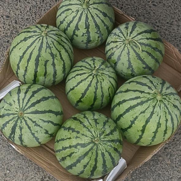 家有五宝⁰⁹º²