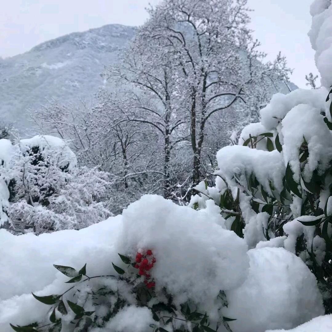 小平果