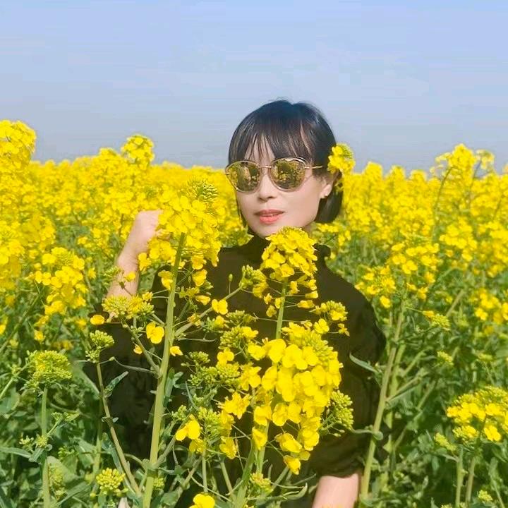 木子木