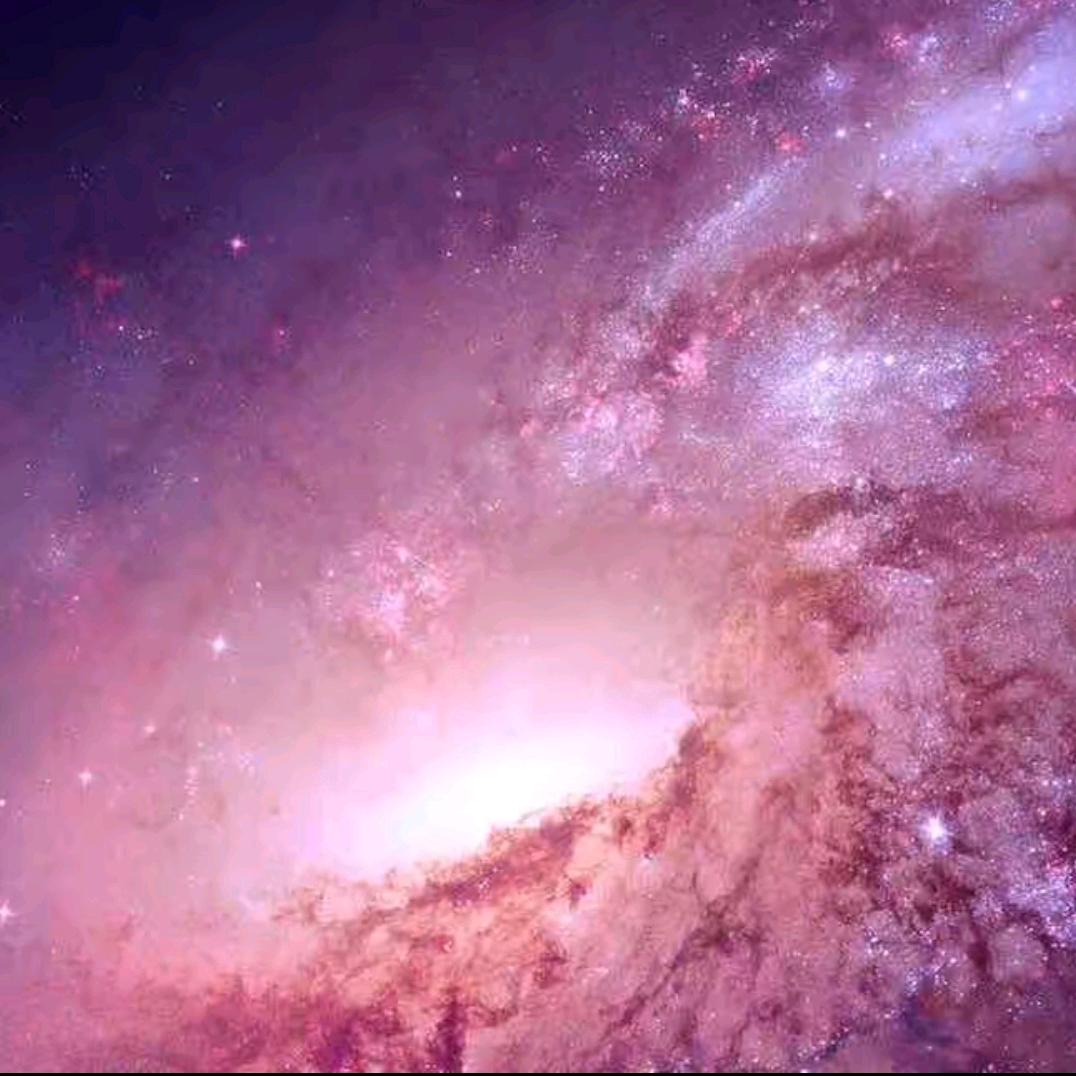 东山最好吃的炸鸡-何你好炸鸡