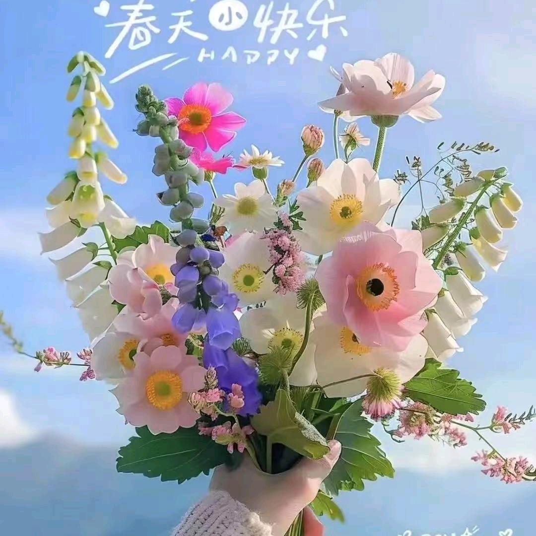 宋芽芽