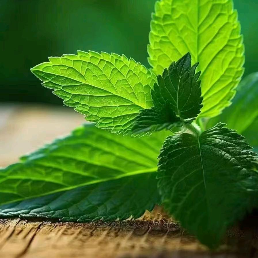 深秋的黎明（香港）