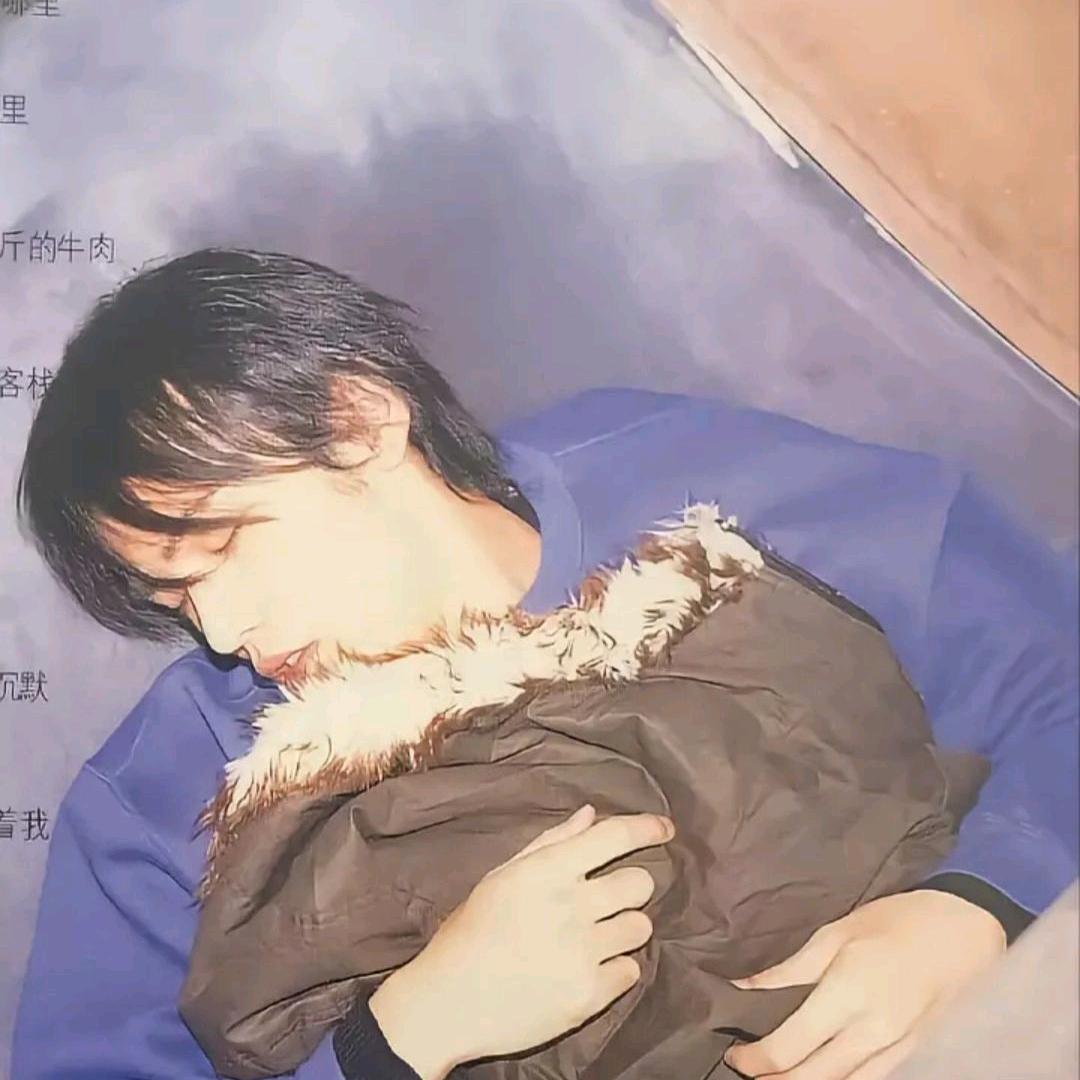 磊子
