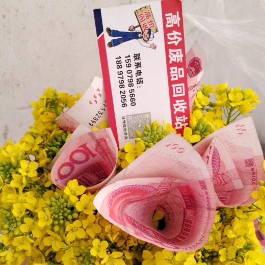 回收废品小姐姐