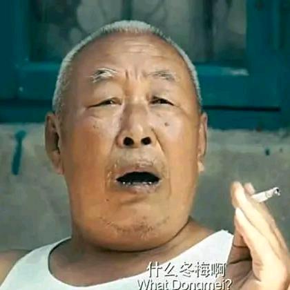 总有刁民想害朕🌊