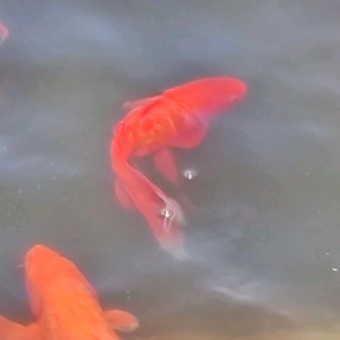 笑看人生