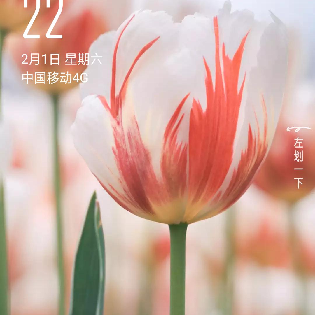 姜杰