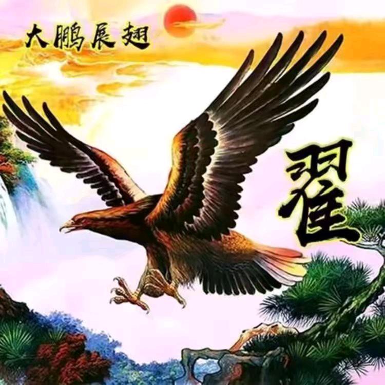 大展宏图1002