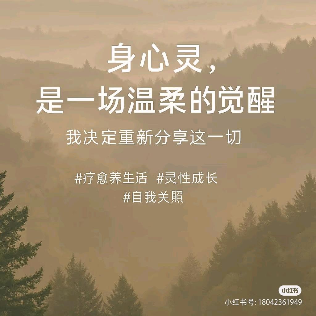 一只美羊羊（重生版）