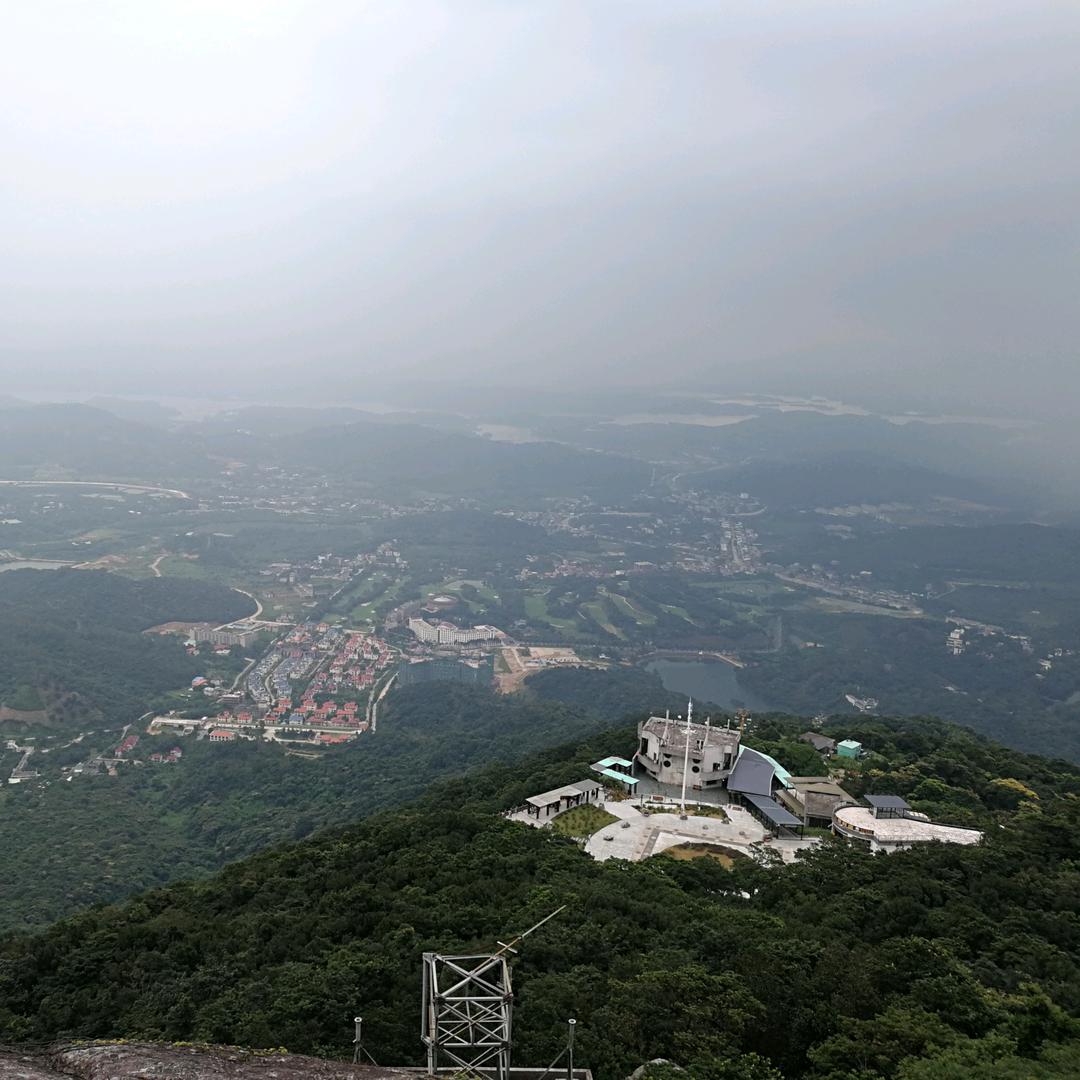 花开海棠