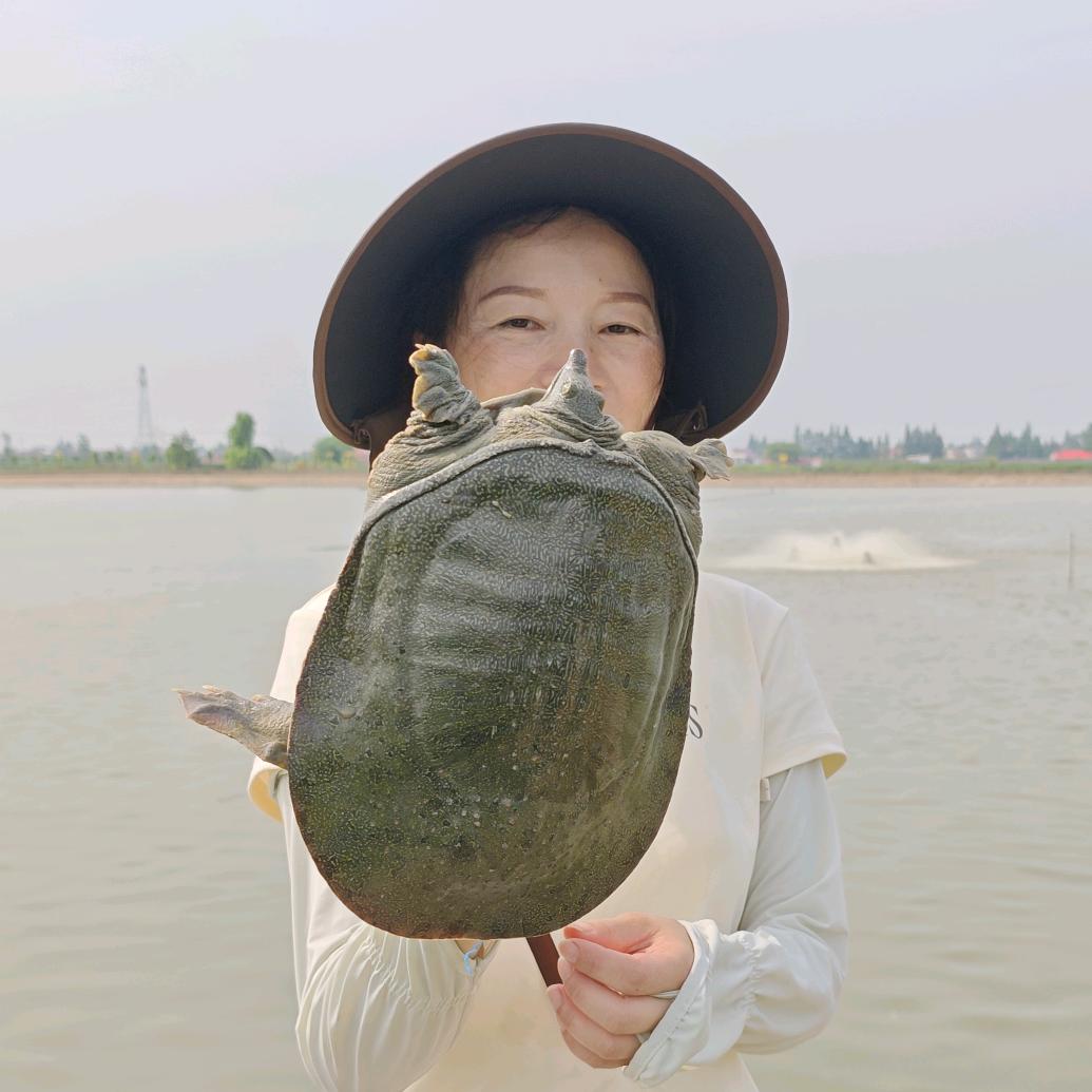 小爱王八铺