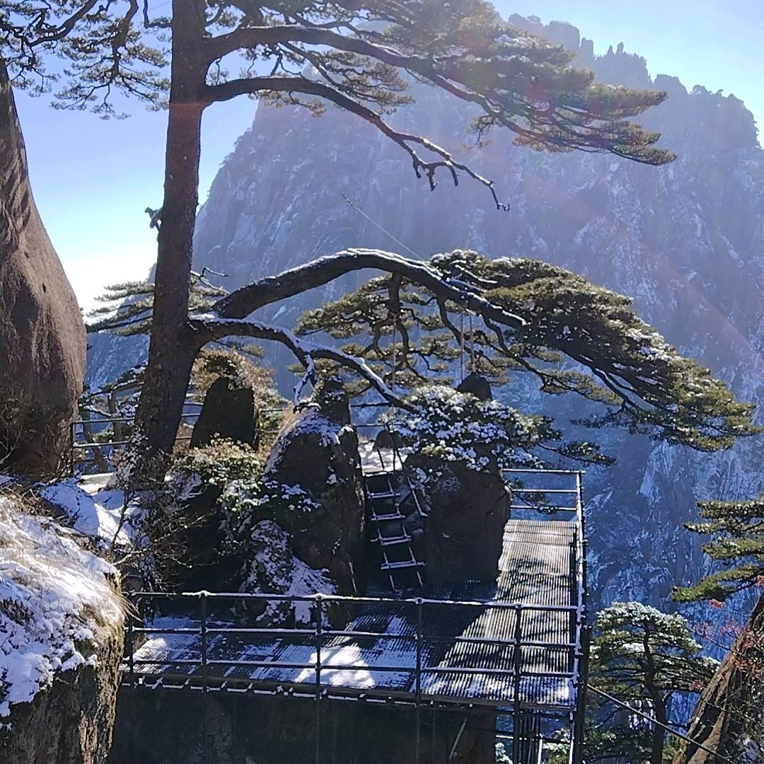看，大海