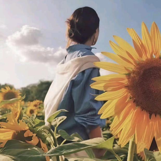 小老虎和小月亮