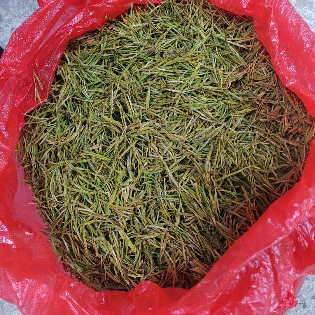 种茶人