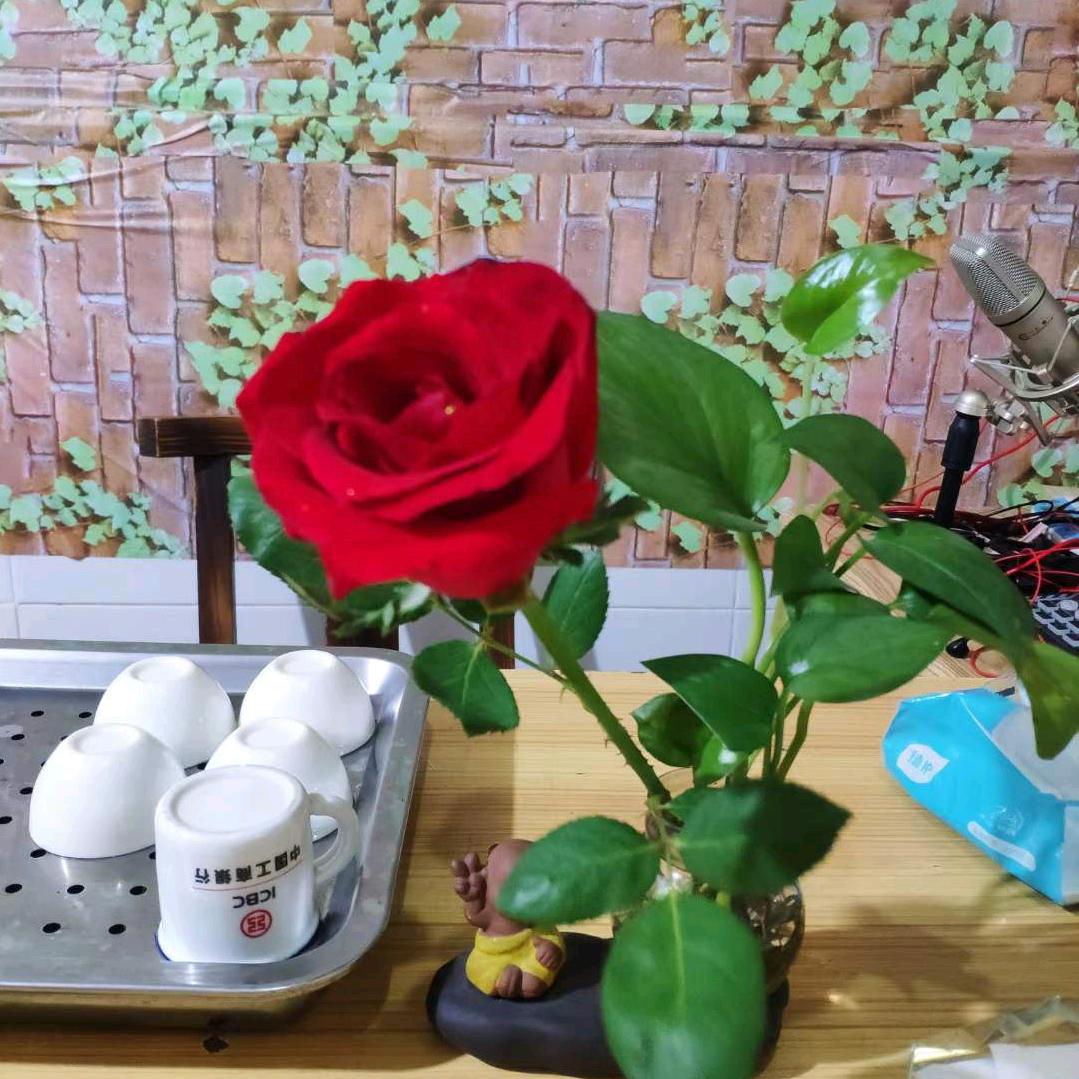 阿旭甄选好物分享