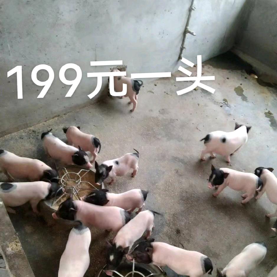 收割机维修专家