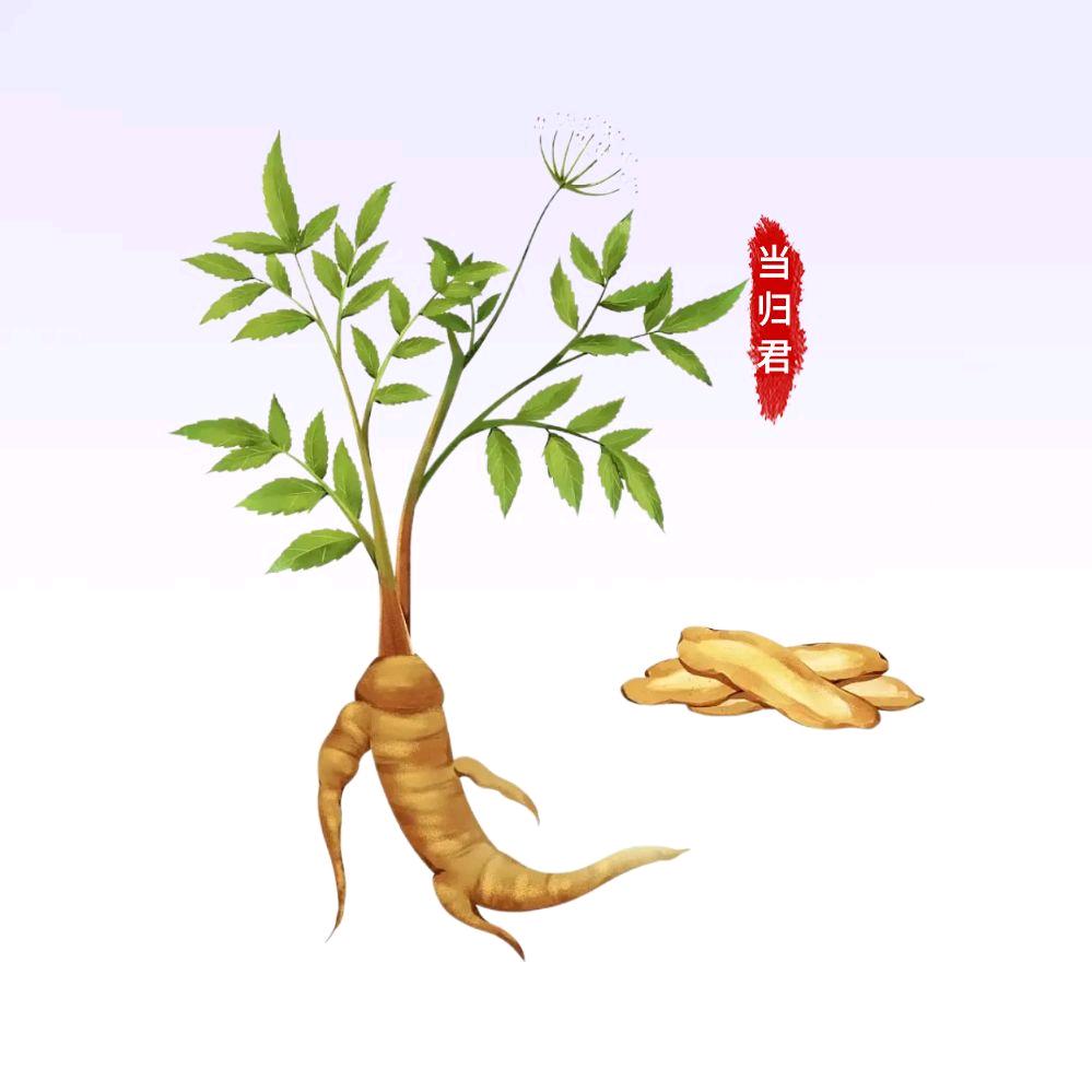 识百草