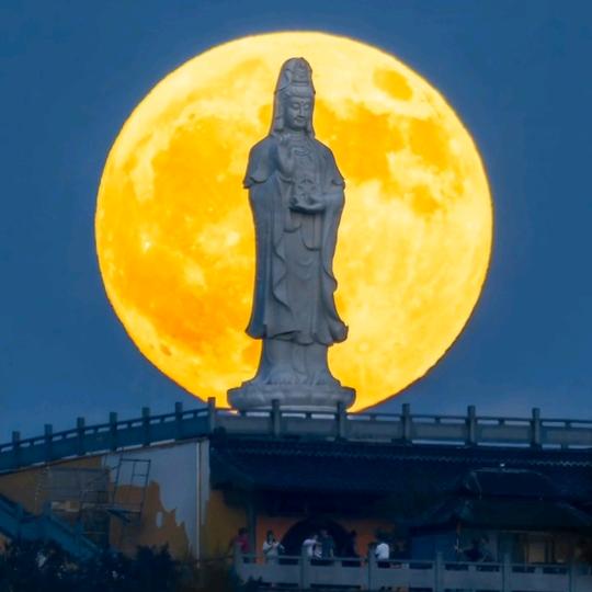 覃《情》《郎》哥