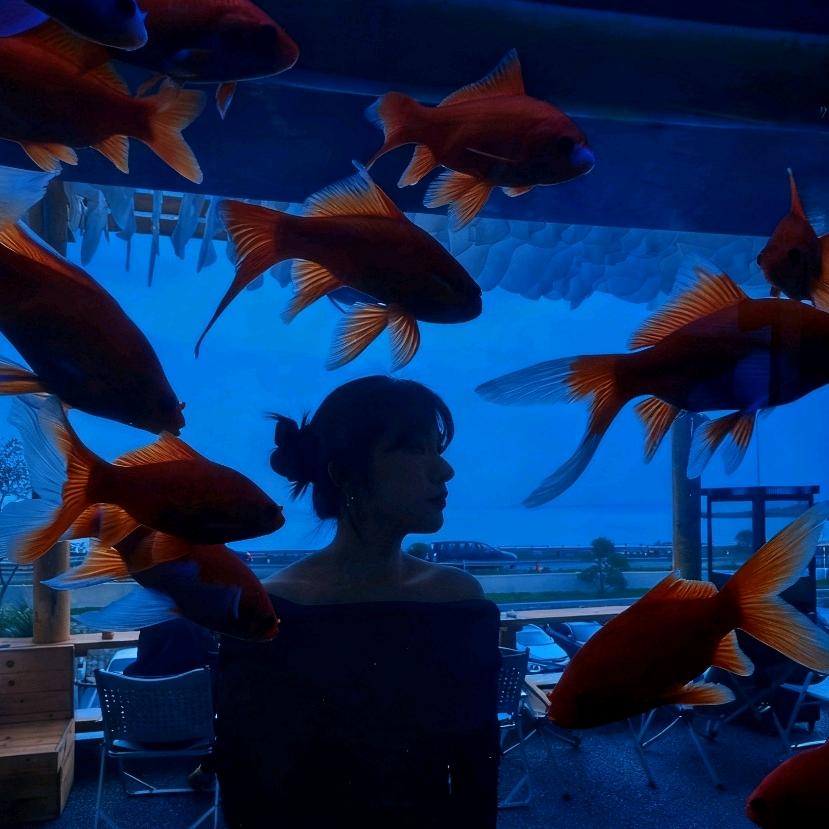 一条想太多的鱼