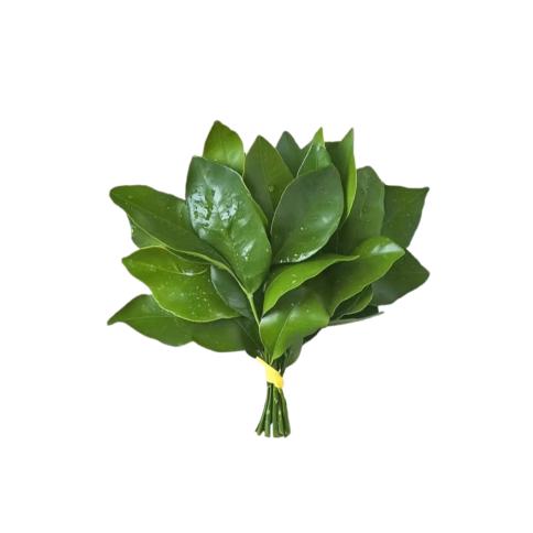 苹果大福*