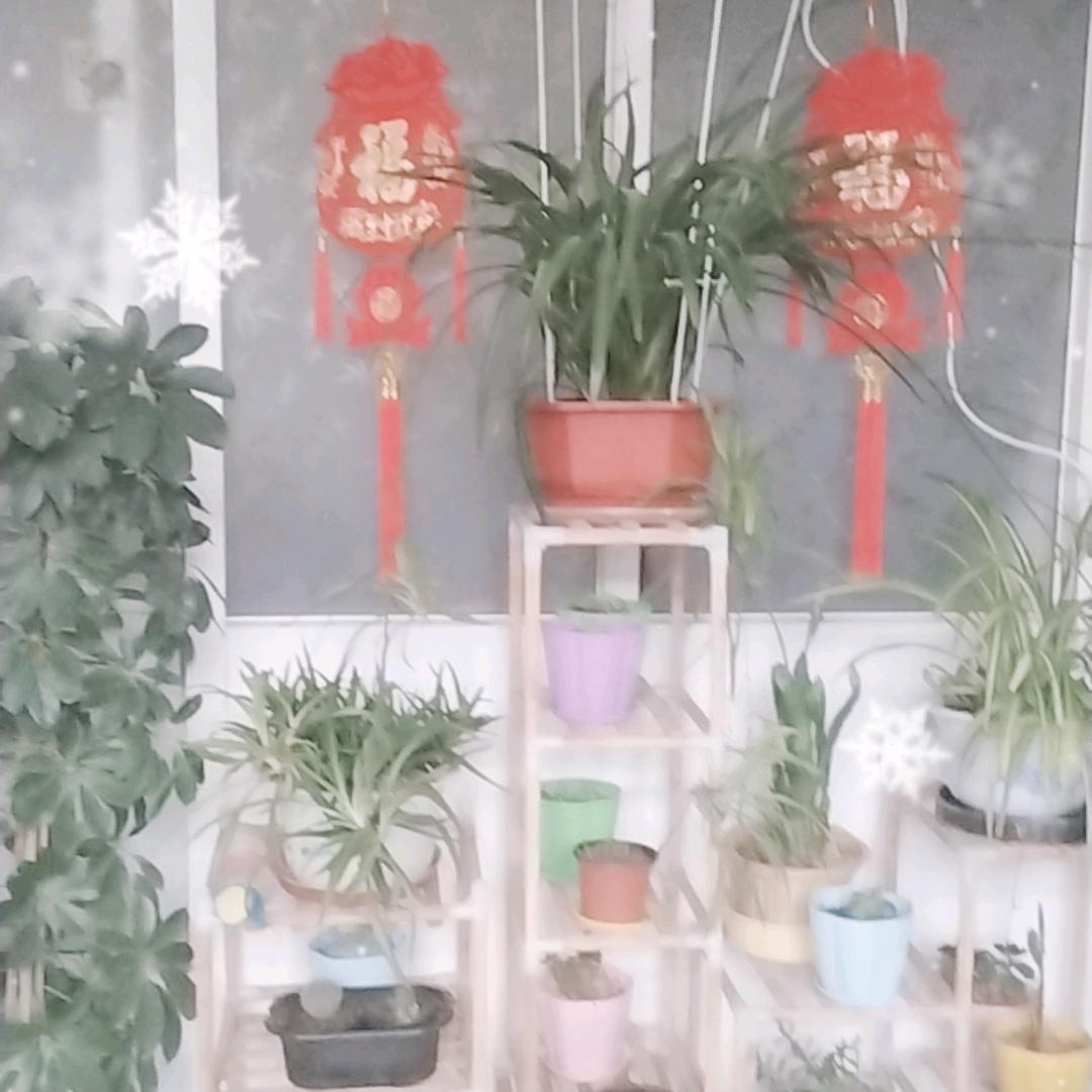人生如梦