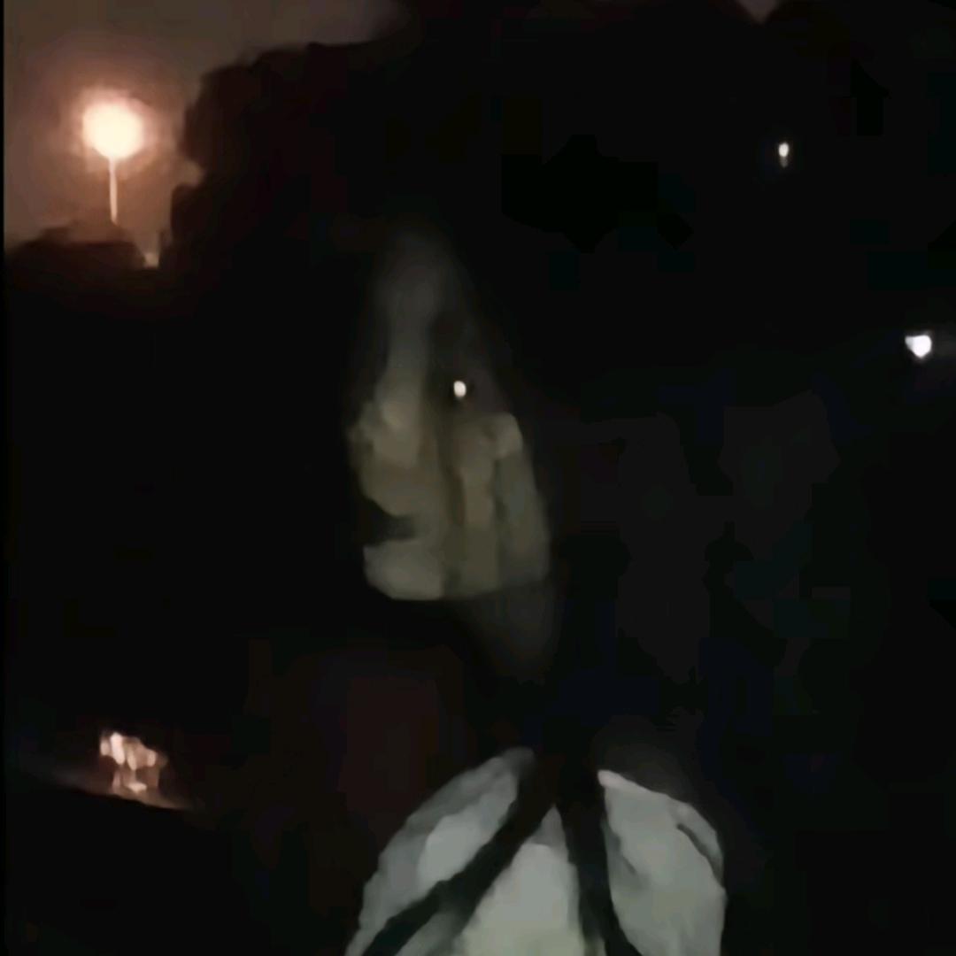 麻辣锅不加香菜