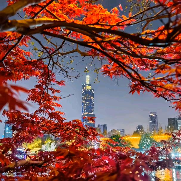 南京洁百诚汽车用品