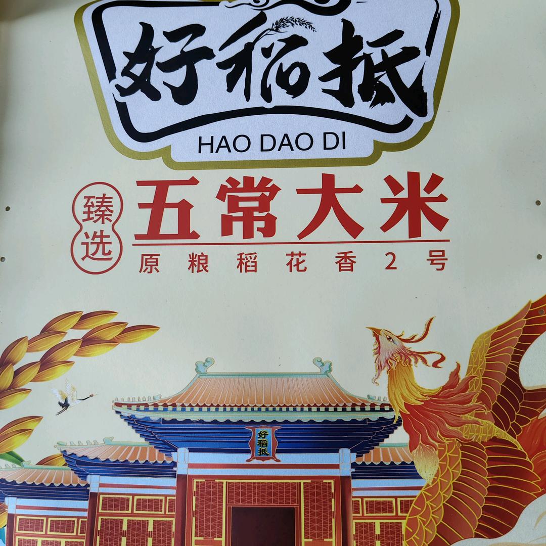 东北的农村娃