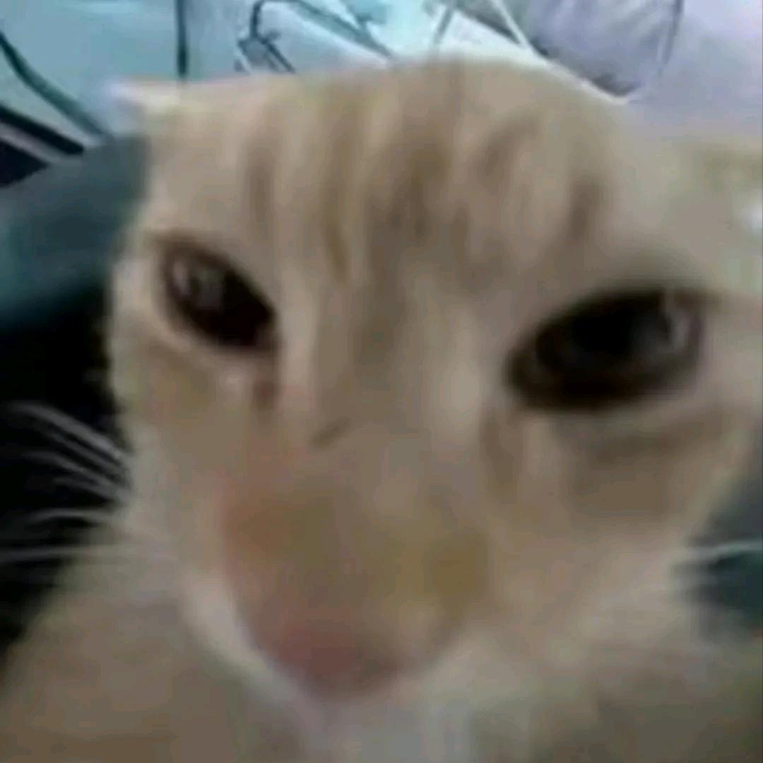 不玩手串