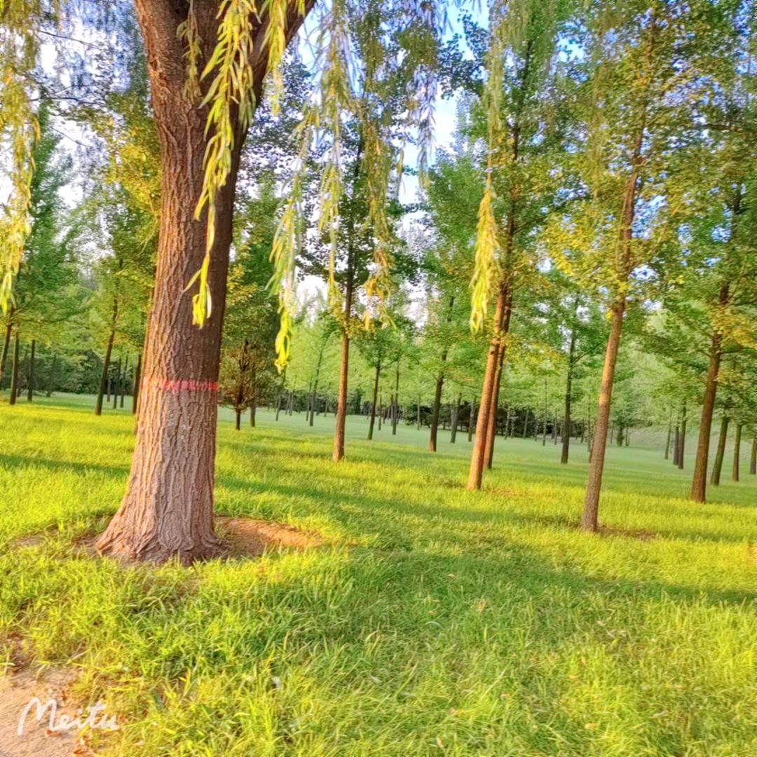 ❤️人生如梦❤️