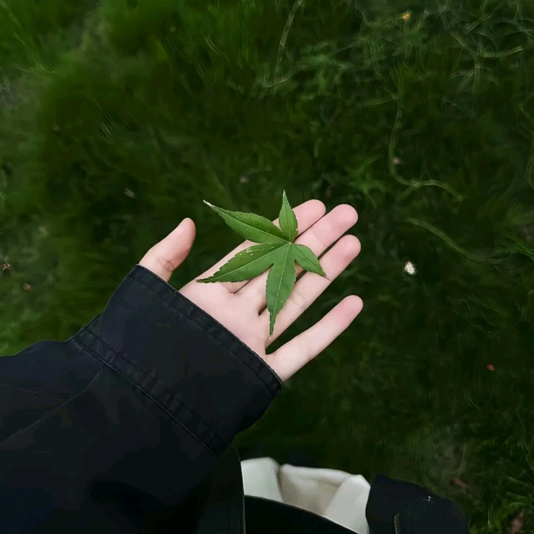 ଳ゛卡里🥤゙不缺 5 毛 ²⁰²⁵𓍯