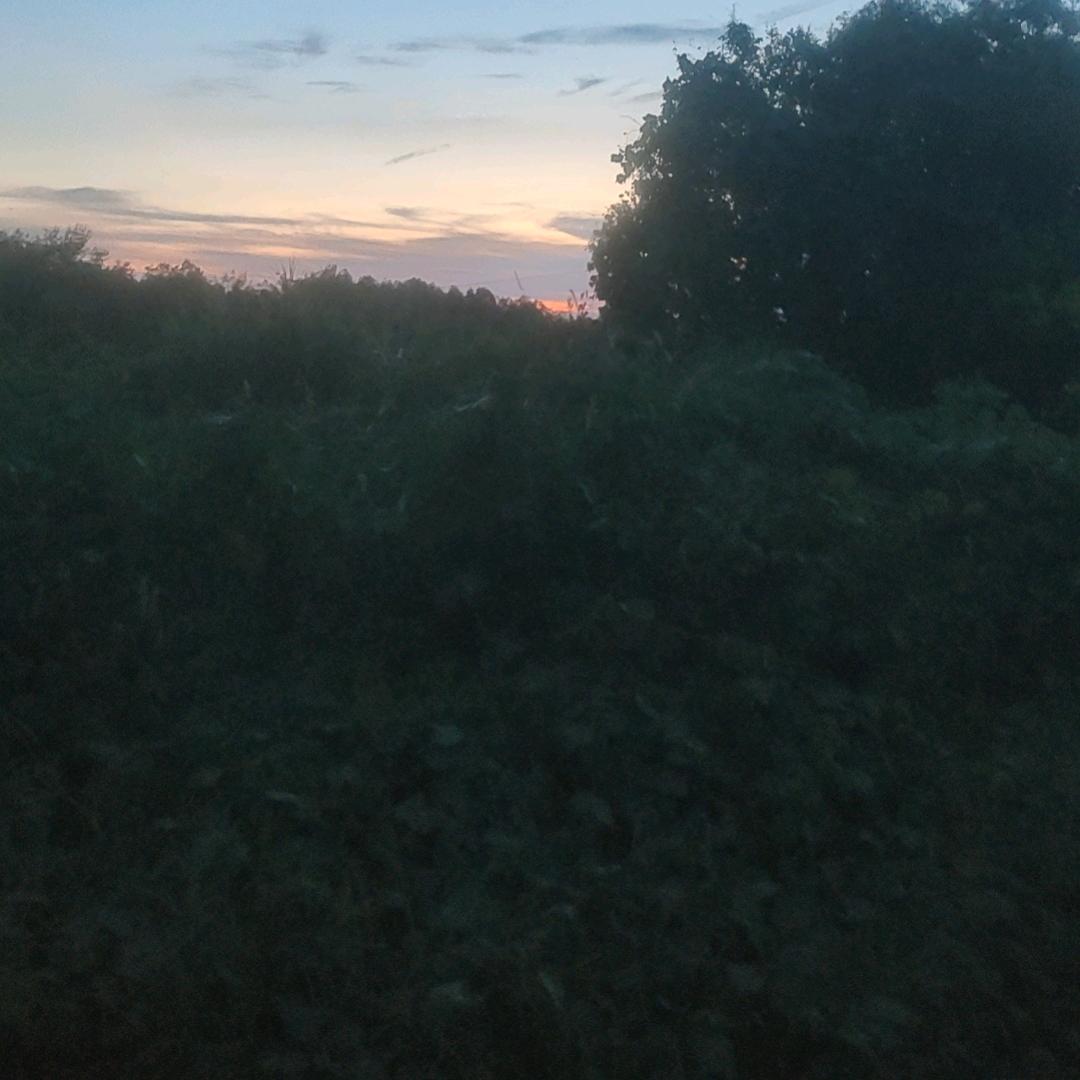 愿你以后的日子像蜂蜜一样的甜